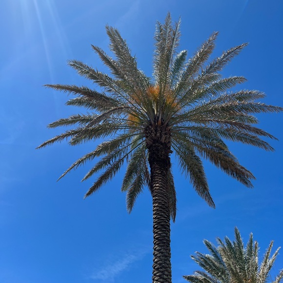 Meet your Posher, Ashlee - Picture 5 of 6